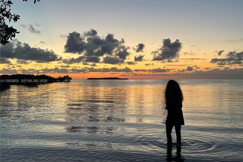 House in Key Largo, Florida 2 bedrooms, 71.35 sq.m. № 2013961 - photo 19