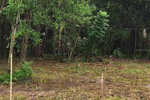Land in Gainesville, Florida № 1906178 - photo 3