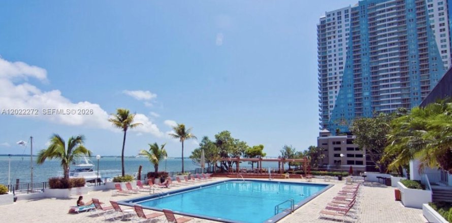 Studio in the Condo in Miami, Florida  № 2169341
