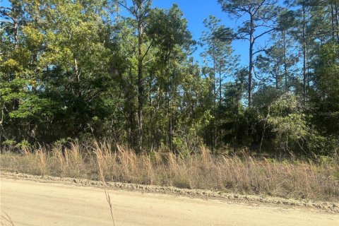Land in Ocala, Florida № 2159301 - photo 3