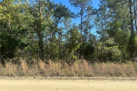 Land in Ocala, Florida № 2159301 - photo 2