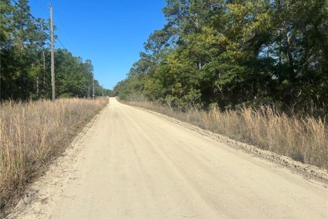Land in Ocala, Florida № 2159301 - photo 4