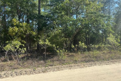 Land in Ocala, Florida № 2159301