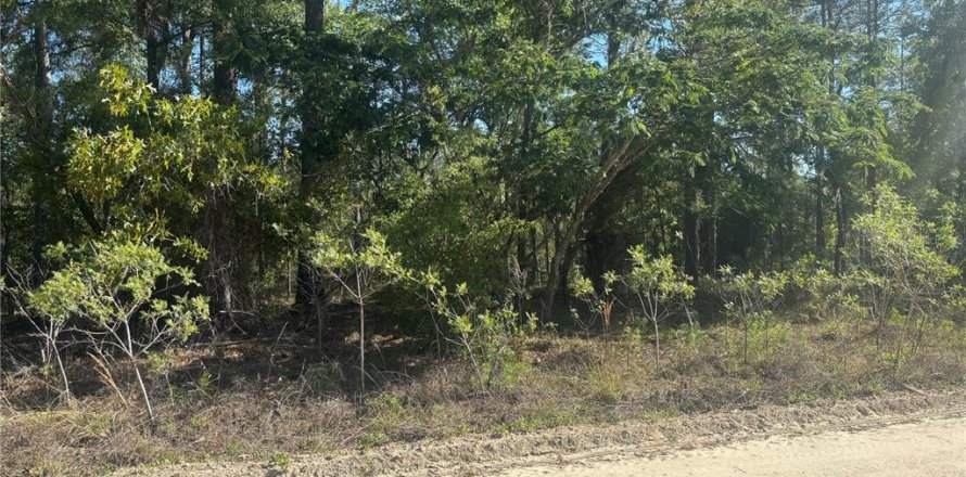 Land in Ocala, Florida № 2159301