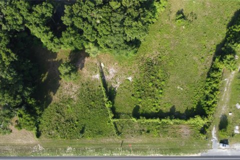 Land in Chiefland, Florida № 1200287 - photo 8