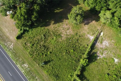 Land in Chiefland, Florida № 1200287 - photo 6