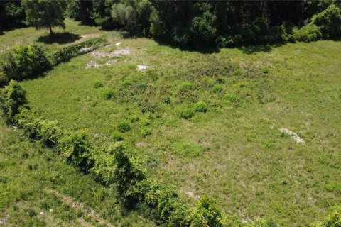 Land in Chiefland, Florida № 1200287 - photo 2