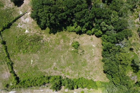 Land in Chiefland, Florida № 1200287 - photo 4