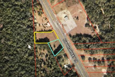 Land in Chiefland, Florida № 1200287 - photo 9