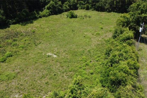 Land in Chiefland, Florida № 1200287 - photo 3