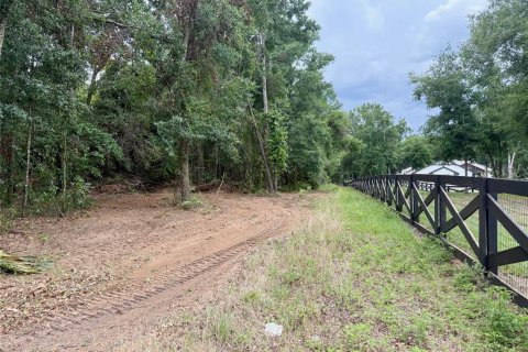 Land in Clermont, Florida № 1684899 - photo 13
