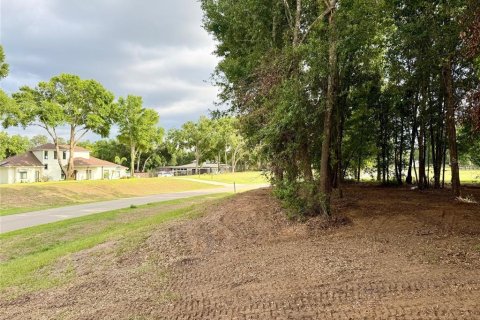 Land in Clermont, Florida № 1684899 - photo 12