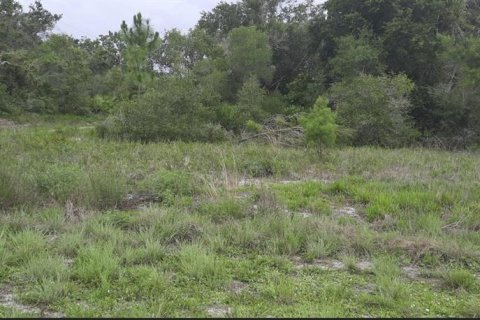Land in Indian lake estates, Florida № 1782247 - photo 1