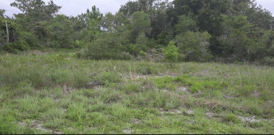 Land in Indian lake estates, Florida № 1782247