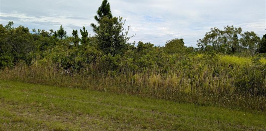 Land in Indian lake estates, Florida № 2160874