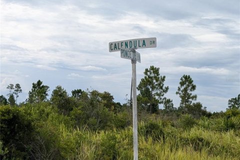 Land in Indian lake estates, Florida № 2160874 - photo 2