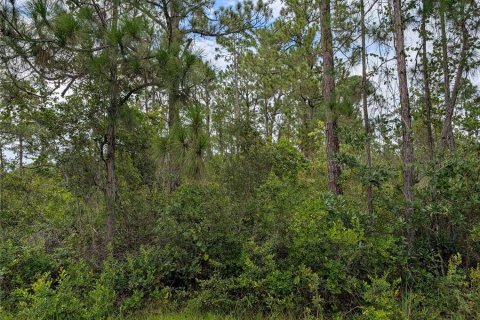 Land in Indian lake estates, Florida № 2160874 - photo 7