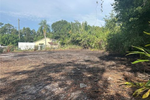 Land in Land O' Lakes, Florida № 1919630 - photo 3