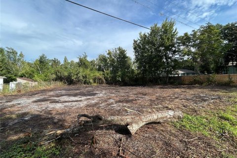 Land in Land O' Lakes, Florida № 1919630 - photo 4