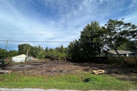 Land in Land O' Lakes, Florida № 1919630 - photo 1