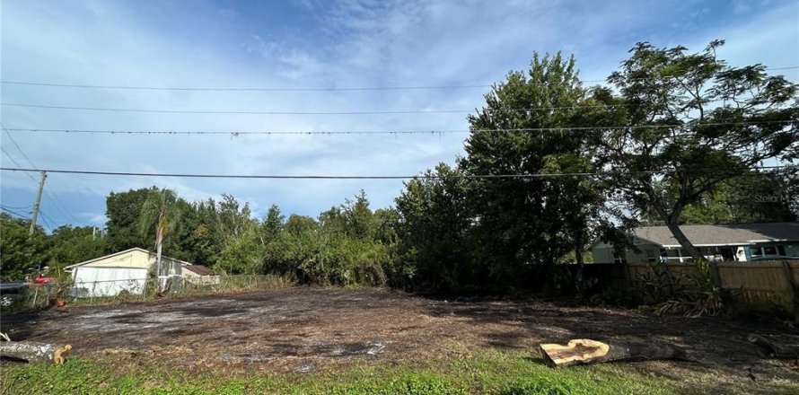 Land in Land O' Lakes, Florida № 1919630