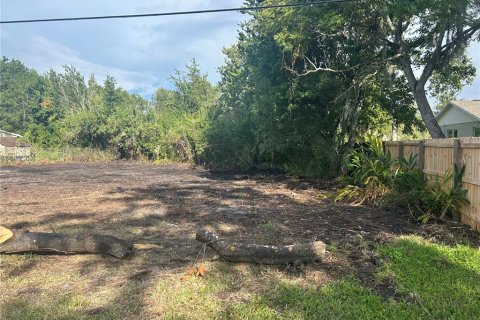 Land in Land O' Lakes, Florida № 1919630 - photo 6