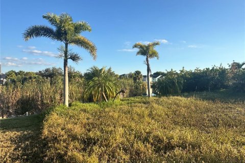 Land in Port Charlotte, Florida № 2105349 - photo 2