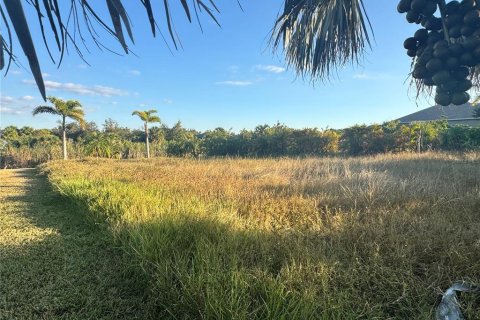 Land in Port Charlotte, Florida № 2105349 - photo 4