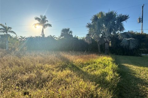 Land in Port Charlotte, Florida № 2105349 - photo 6