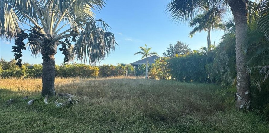 Land in Port Charlotte, Florida № 2105349