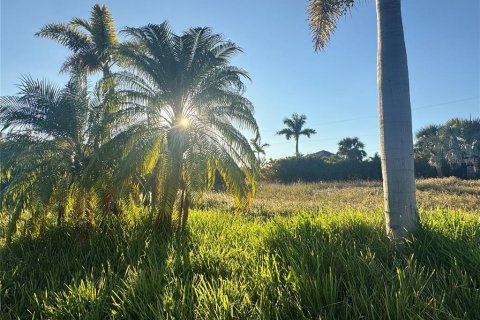 Land in Port Charlotte, Florida № 2105349 - photo 5
