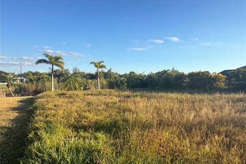Land in Port Charlotte, Florida № 2105349 - photo 3