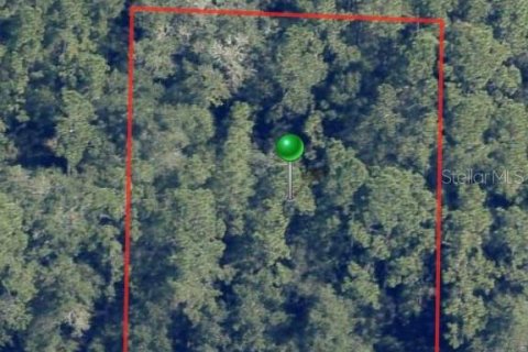 Land in Citrus Springs, Florida № 2223957 - photo 2