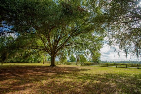 House in Alachua, Florida 7 bedrooms, 292.27 sq.m. № 2200507 - photo 7