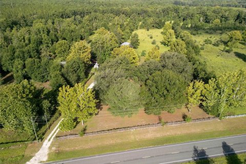 House in Alachua, Florida 7 bedrooms, 292.27 sq.m. № 2200507 - photo 2