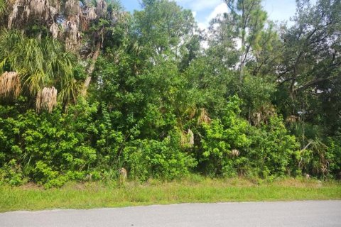 Terrain à Port Charlotte, Floride № 2291648