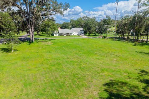 Land in Williston, Florida № 2379153 - photo 2