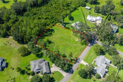Land in Williston, Florida № 2379153 - photo 8