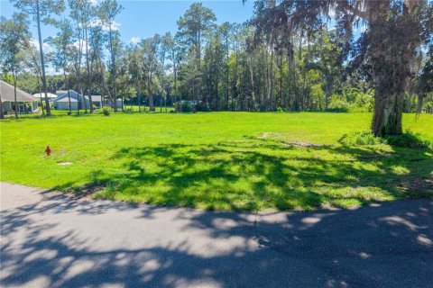 Land in Williston, Florida № 2379153