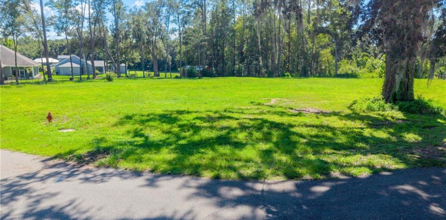 Land in Williston, Florida № 2379153