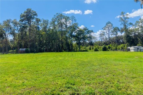 Land in Williston, Florida № 2379153 - photo 10