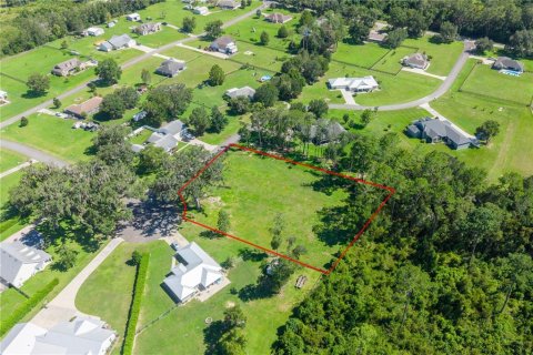 Land in Williston, Florida № 2379153 - photo 4