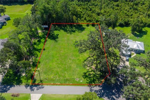 Land in Williston, Florida № 2379153 - photo 9