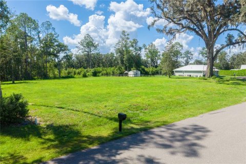 Land in Williston, Florida № 2379153 - photo 3