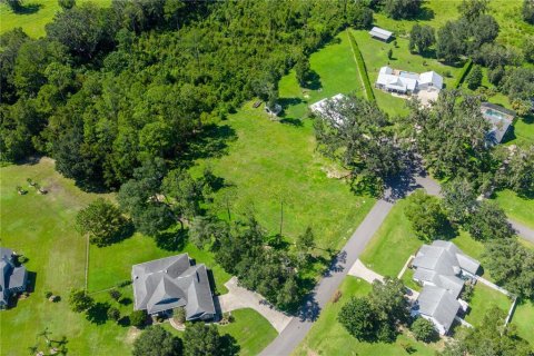 Land in Williston, Florida № 2379153 - photo 7
