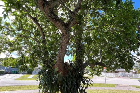 Купить виллу или дом в Майами, Флорида 3 спальни, 96.62м2, № 1998191 - фото 4