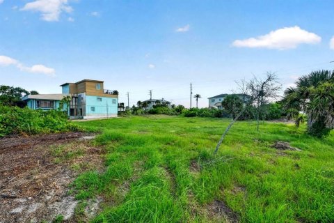 Land in Ponce Inlet, Florida № 2267407 - photo 3