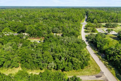 Land in Dunnellon, Florida № 2166753 - photo 2