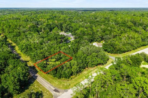 Land in Dunnellon, Florida № 2166753