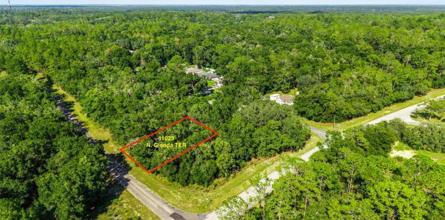 Land in Dunnellon, Florida № 2166753